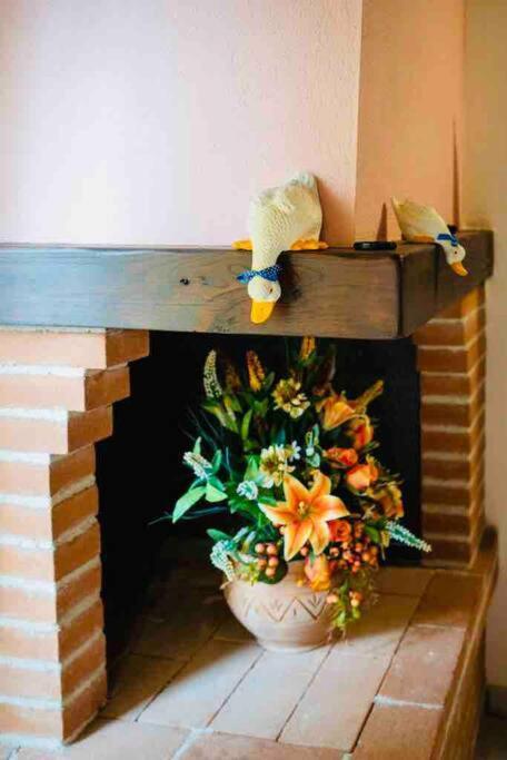 A Casa Di Claudia Apartment
